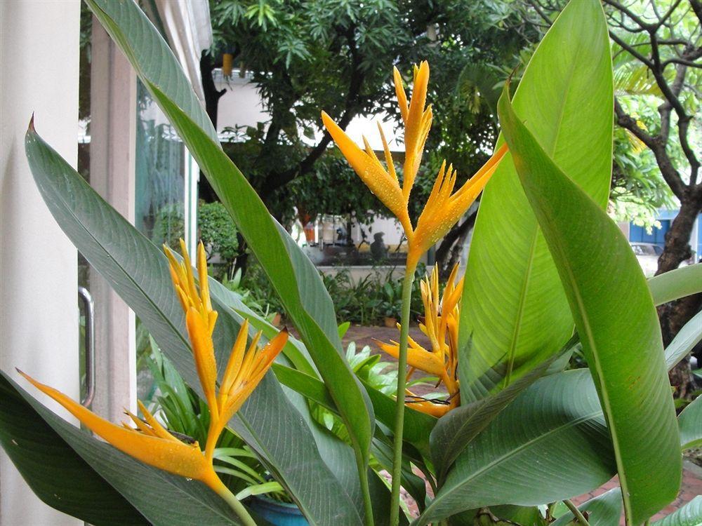 Imperial Boutique Hotel Phnom Penh Exterior photo